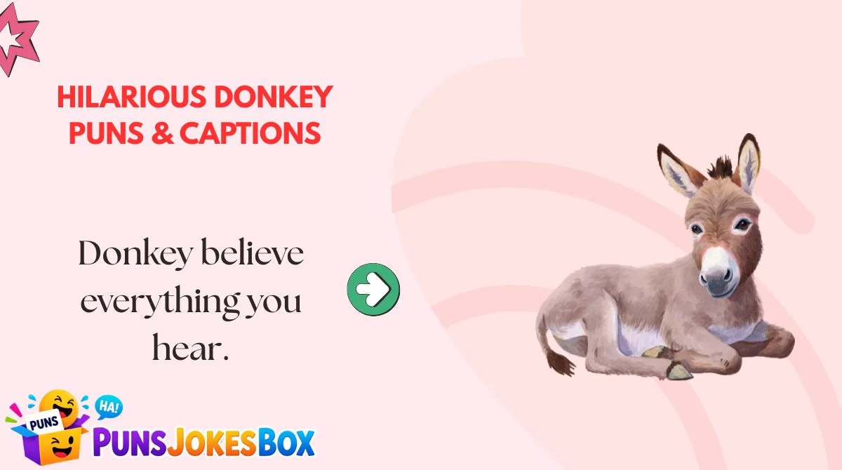 Hilarious Donkey Puns & Captions