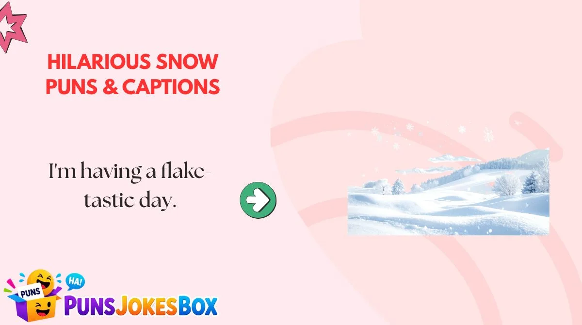 Hilarious Snow Puns & Captions