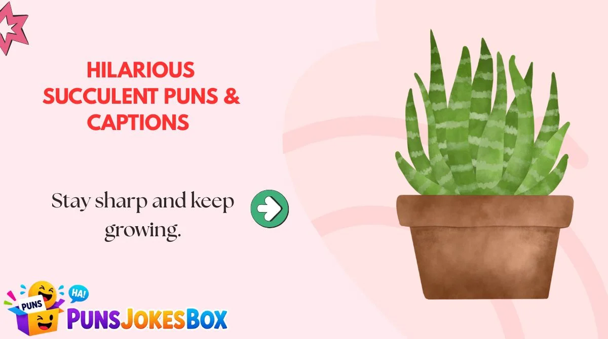 Hilarious Succulent Puns & Captions 