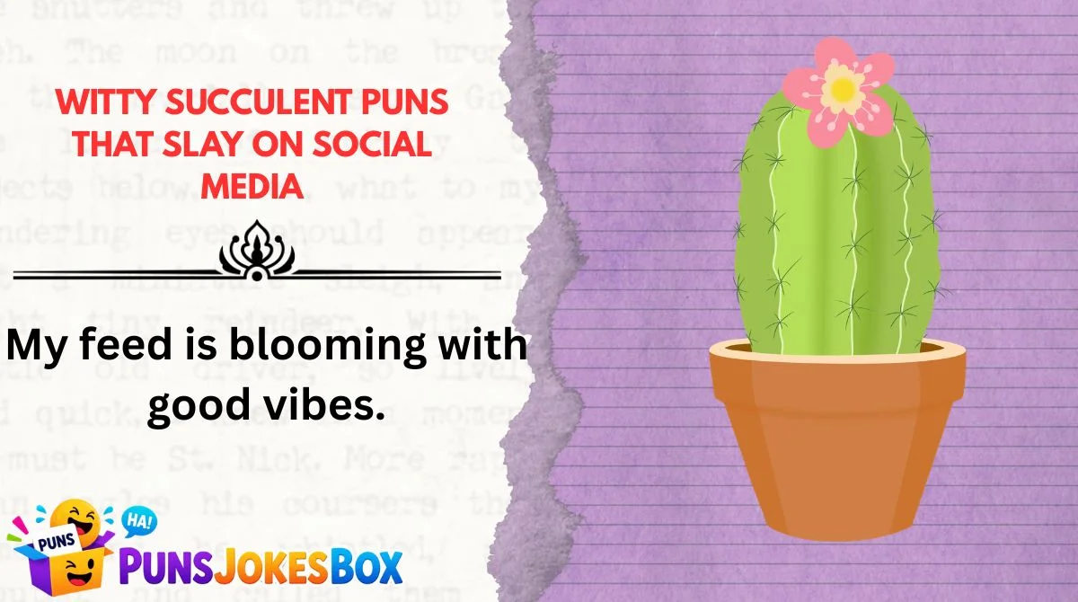 Witty Succulent Puns That Slay on Social Media