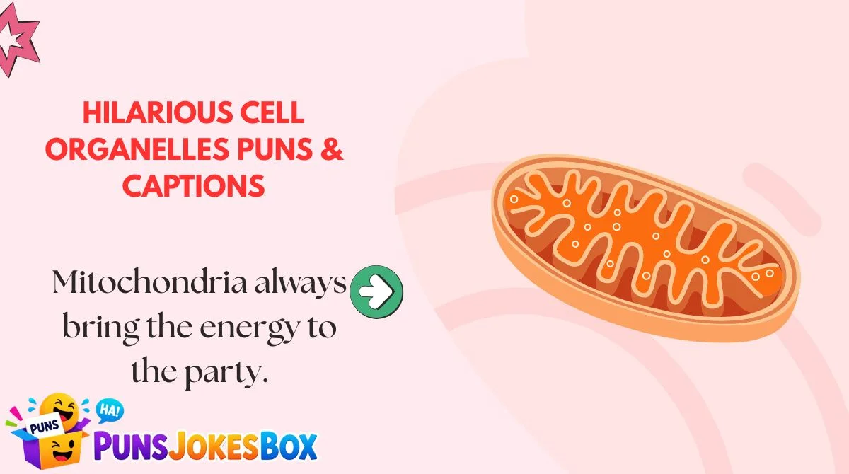 Hilarious Cell Organelles Puns & Captions