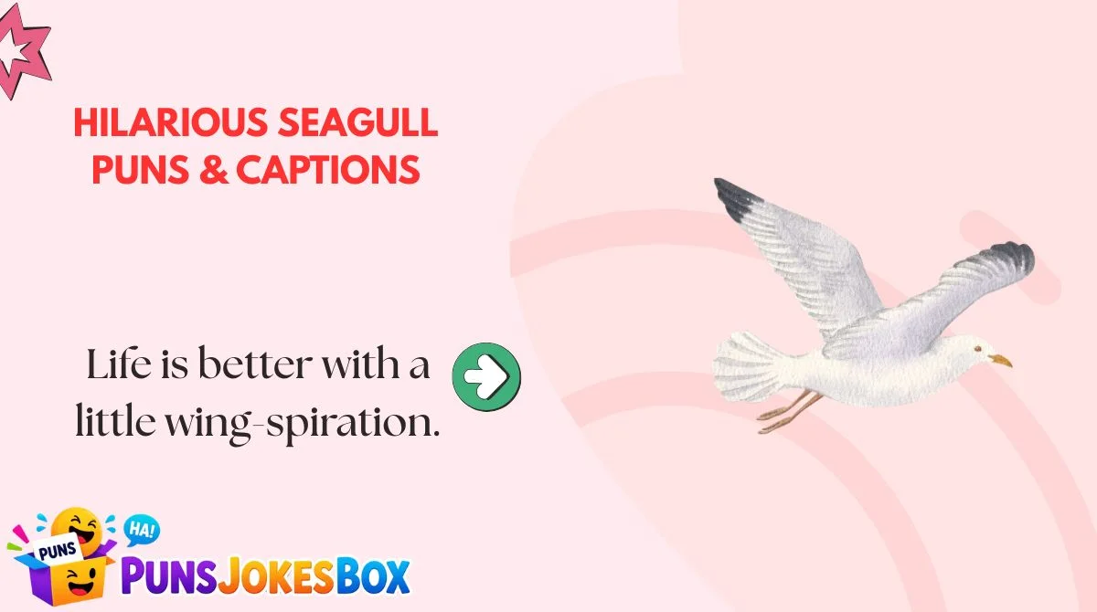 Hilarious Seagull Puns & Captions