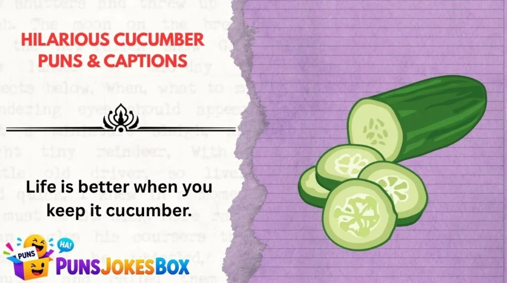 Hilarious Cucumber Puns & Captions