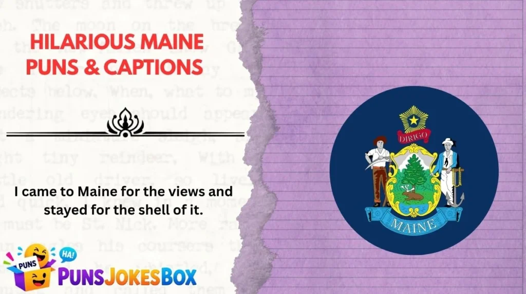 Hilarious Maine Puns & Captions