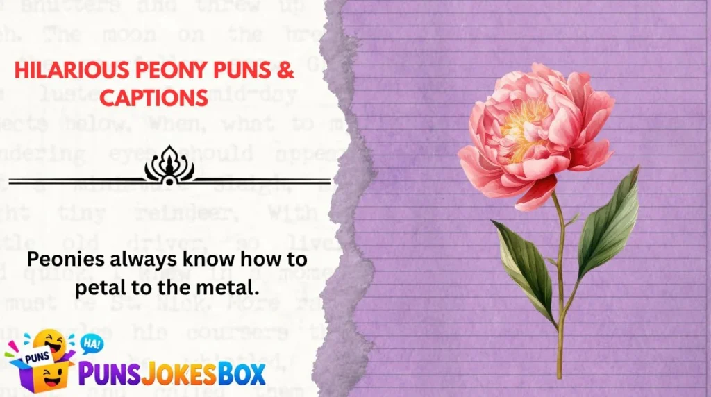 Hilarious Peony Puns & Captions