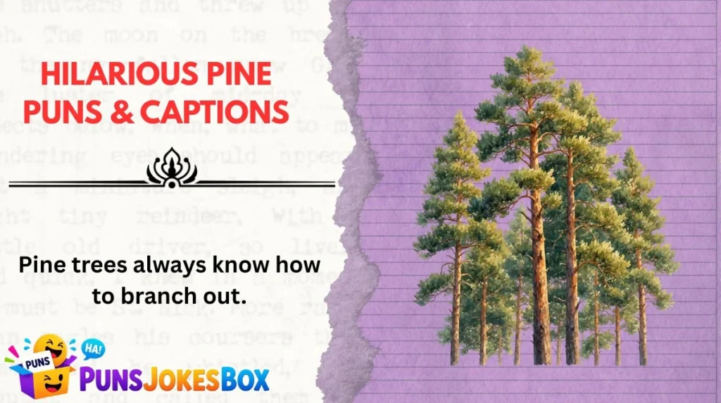 Hilarious Pine Puns & Captions