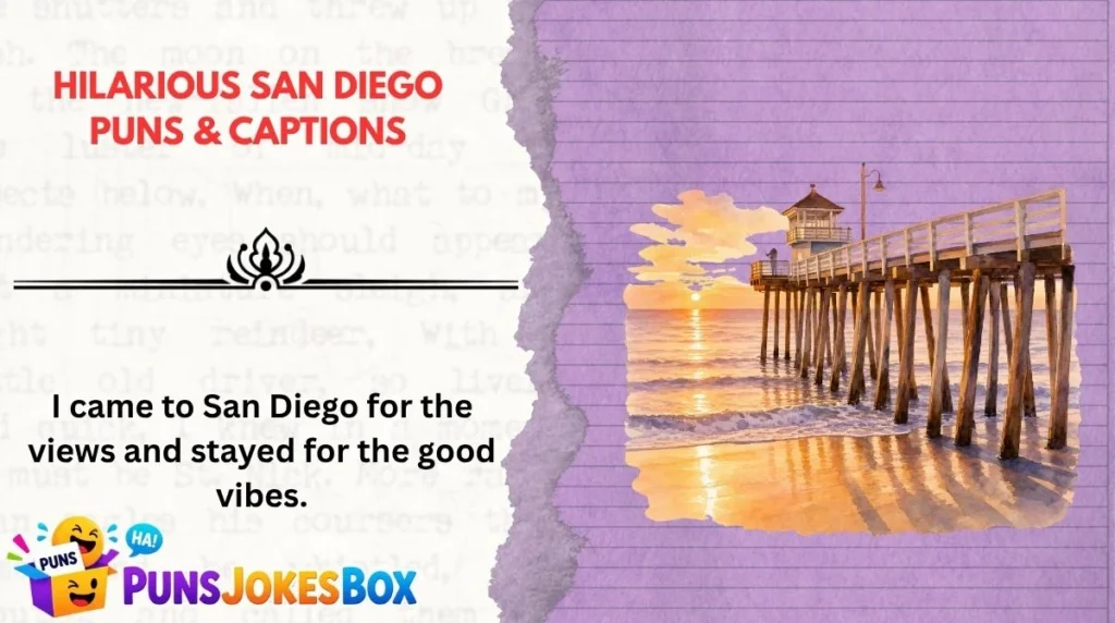 Hilarious San Diego Puns & Captions