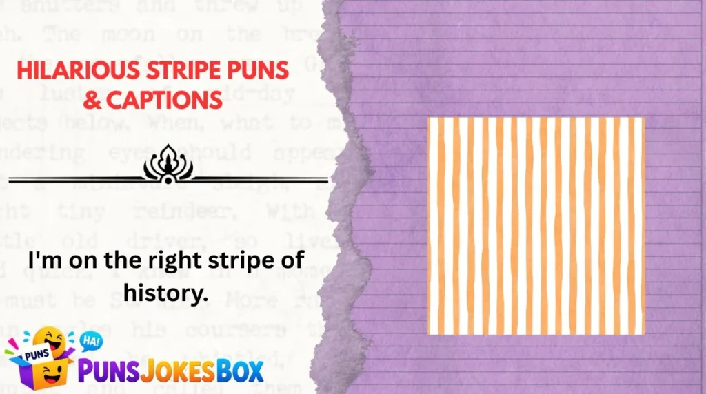 Hilarious Stripe Puns & Captions