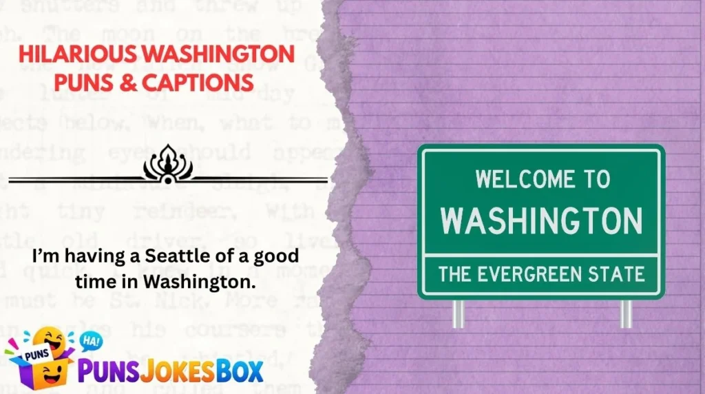 Hilarious Washington Puns & Captions 