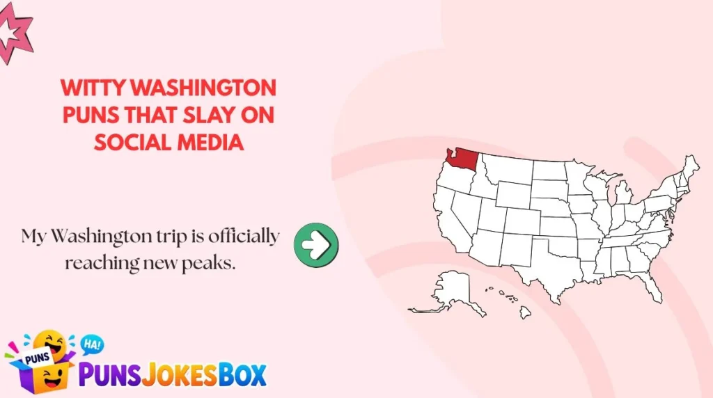 Witty Washington Puns That Slay on Social Media