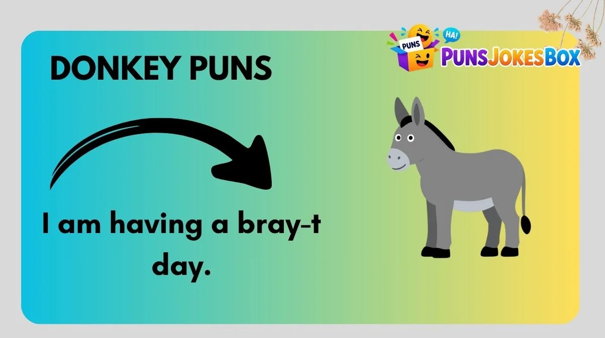 Donkey Puns