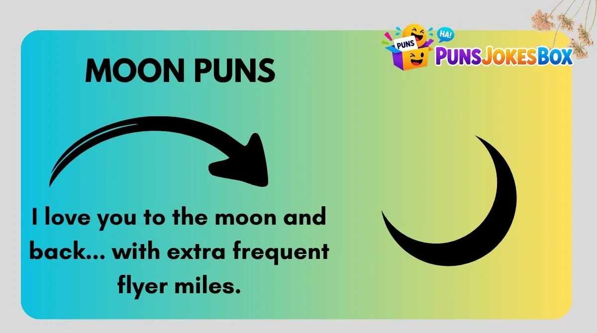Moon Puns