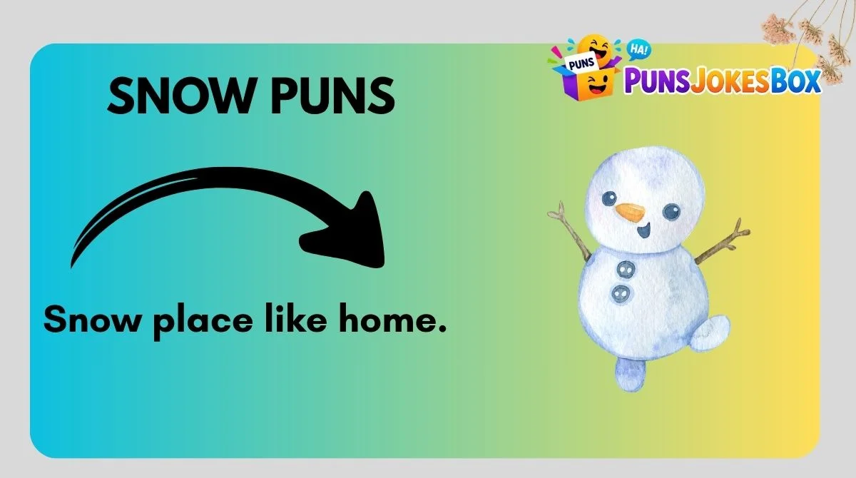 Snow Puns