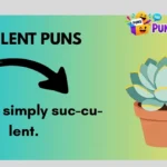 Succulent Puns
