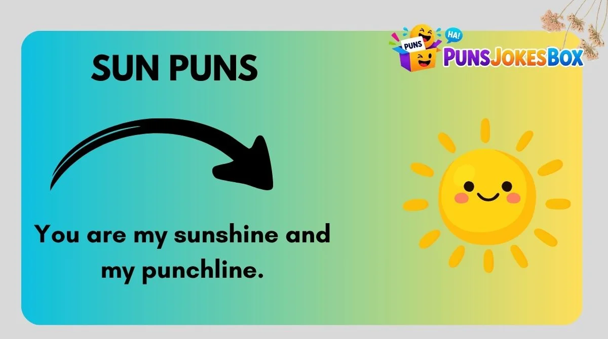 Sun Puns