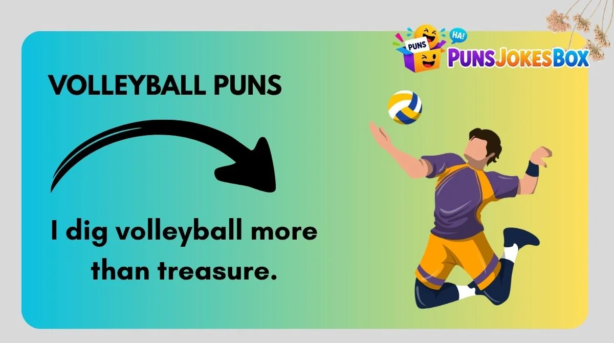 Volleyball Puns