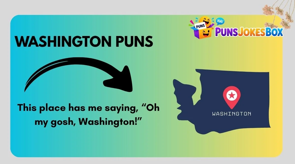 Washington Puns